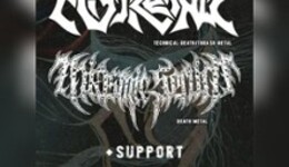 MISCREANCE + MIASMIC SERUM + support