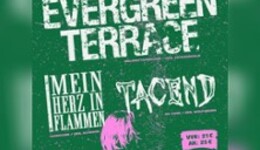 Evergreen Terrace + support